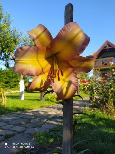Agroturystyka U Ani