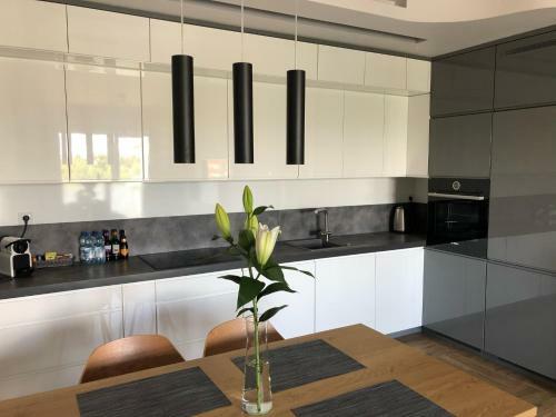 Apartament Opieszyn