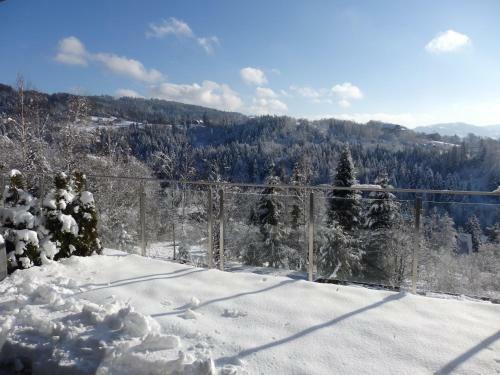 Apartament Widokowy Wis?a