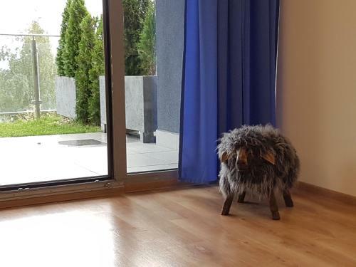 Apartament Widokowy Wis?a