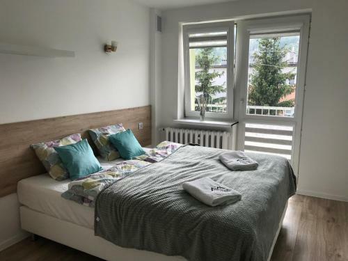 Wisla-houses Apartament Centrum