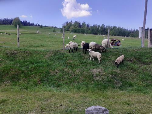 Apartamento Spokojny Klimat W Wi?le