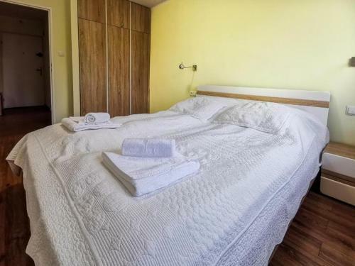 Apartament Wis?a Centrum