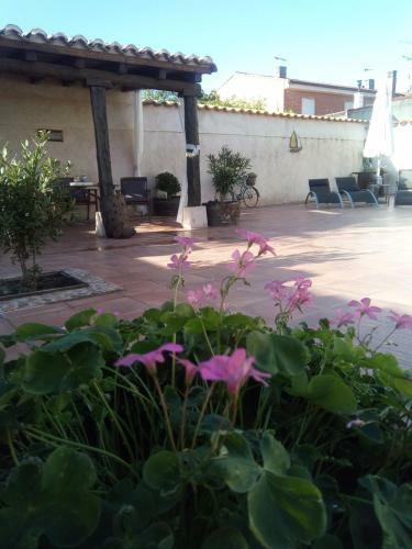 Pinar De Las Caba�uelas