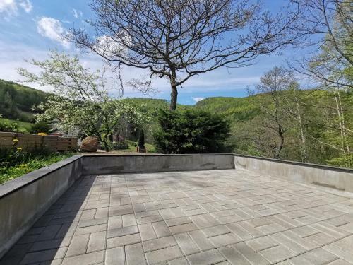 Apartament Bukowy Las