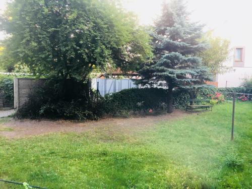 Apartament Ala
