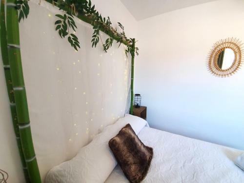Casas Color�n Colorado