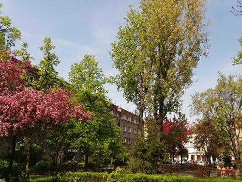 Apartamento Muran�w Studio