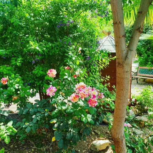 Bed & Breakfast Masia Castellvi