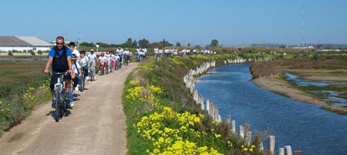 Fabuloso Chalet de Playa Con Wifi Y Parking