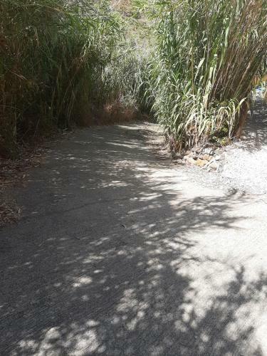 Adobe Getaway With 'private Plunge Pool'