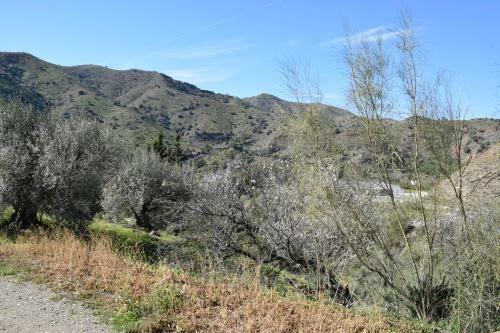 Villa Cerro Gus