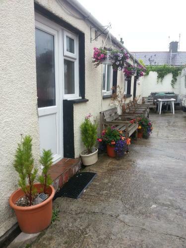 Apartamentos Holyhead Lodge