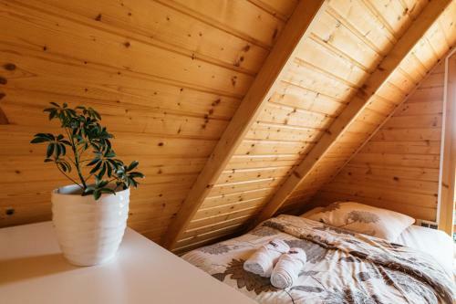 Lodge Domki Baltyckie