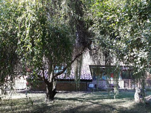 Apartamento Hugoren Egoitza