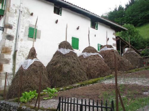 Agroturismo Albergue Olasenea Aterpea
