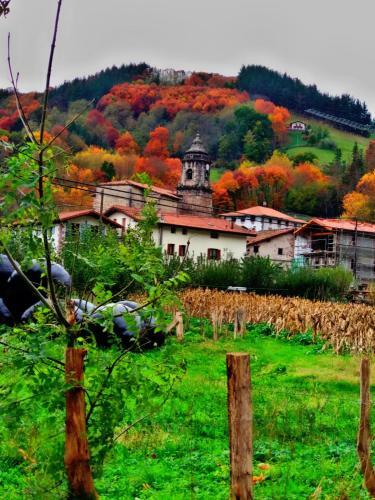 Agroturismo Albergue Olasenea Aterpea