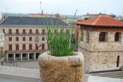 Apartamento El Mirador de Zamora