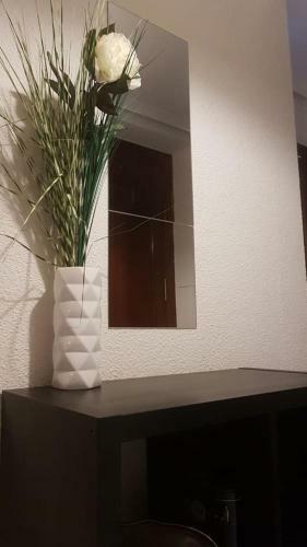 Apartamento San Andres