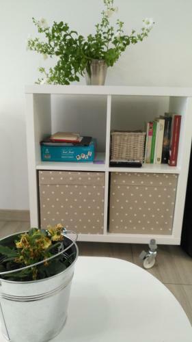 Apartamento Kaixo Museum