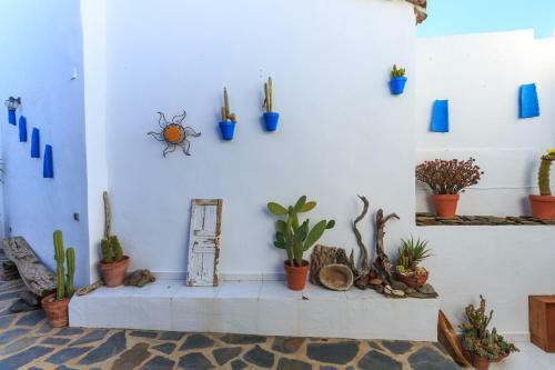 Agroturismo Casa Centenaria Con Encanto