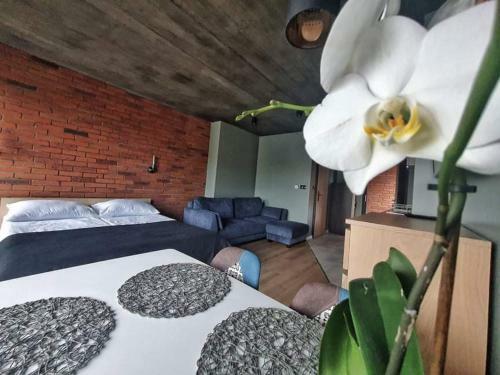 Loft 66 Apartamenty