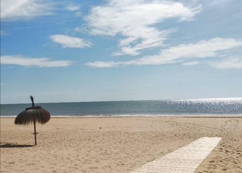 Apartamento En Punta Umbr�a