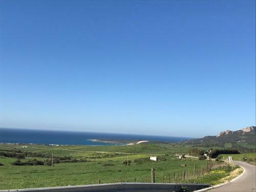 Sol De Bolonia 8