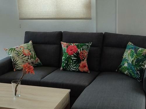 Apartamentos Bolonia