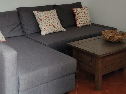 Apartamentos Bolonia