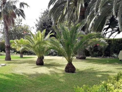 Spacious Holiday Home In Cambrils With Shared Swimming Pool