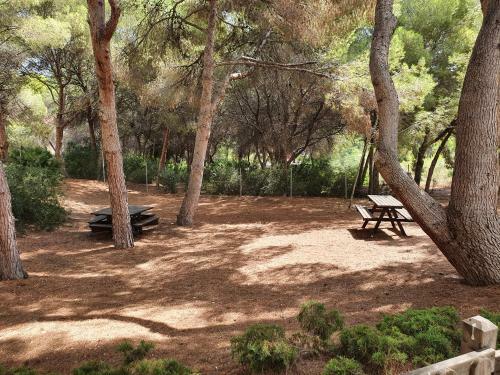 Apartment In Campoamor Overlooking The Swimming Pool