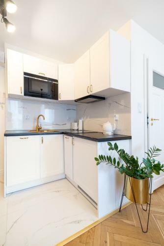 Apartament O?awska