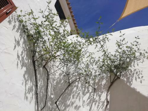 Apartamento Two Lofts