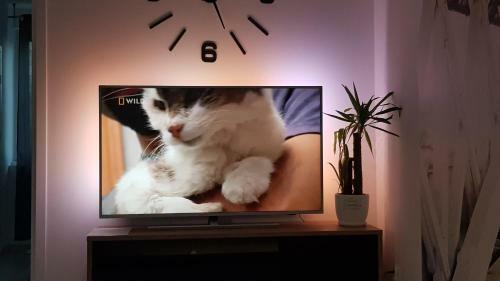 Amik Apartament