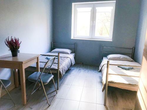 Lawendowy Hostel Wroc?aw