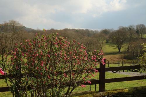 Bwythynod Helmau Cottages