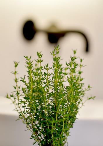 Herbal Hotel Wroc?aw