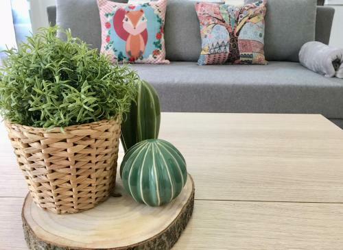 Apartamento Oupen de Dor San Blas