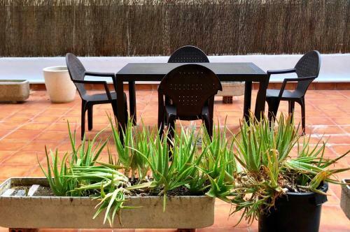 Apartamento El Jard�n de Ver�nica