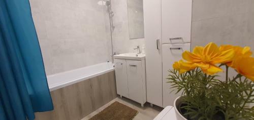 Apartamento Seven Days