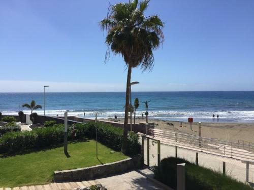 Beach Front Apartment Los Papagayos