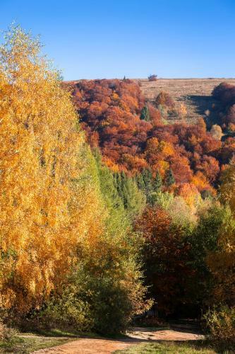 Domek Nad Sanem