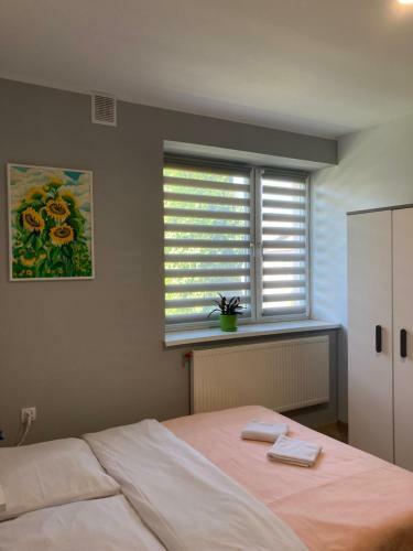 Hostel Karpacki