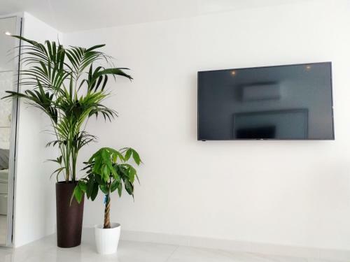 Apartamento Paradise Ocean View Studio