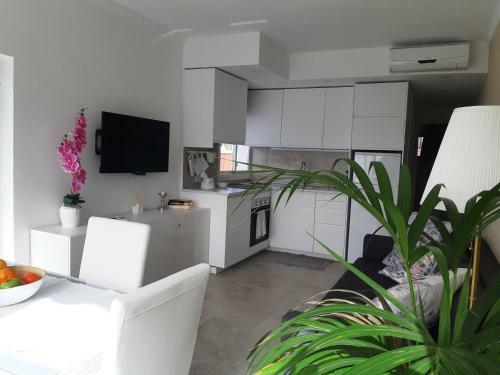 Apartamento Heliopolis