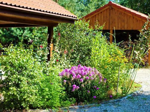 Agroturismo Sum�wko Le?ne Siedlisko