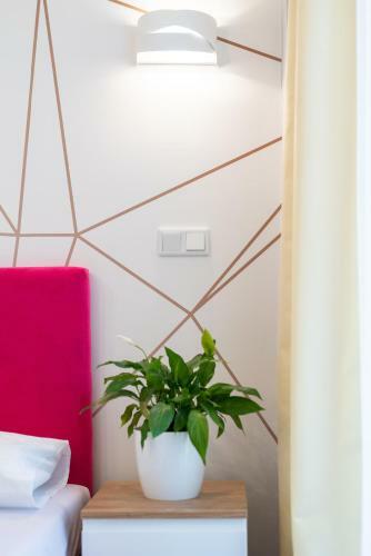 Apartamento Aquila Hotel