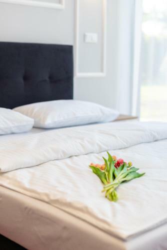 Apartamento Aquila Hotel