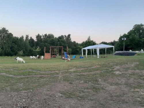 Gosp. Agroturystyczne Stary Gaj
